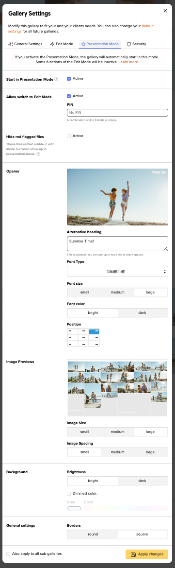 picdrop Gallery Settings for Presentation Mode