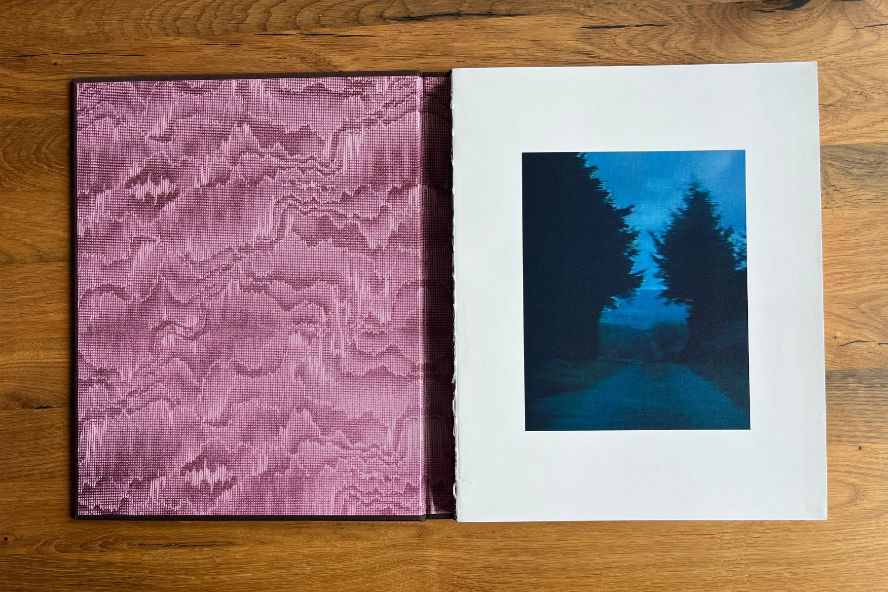 Open copy of Stray Sod by Maria Lax showing the patterned pink inside cover and a blue-toned photograph of a road between dark trees.