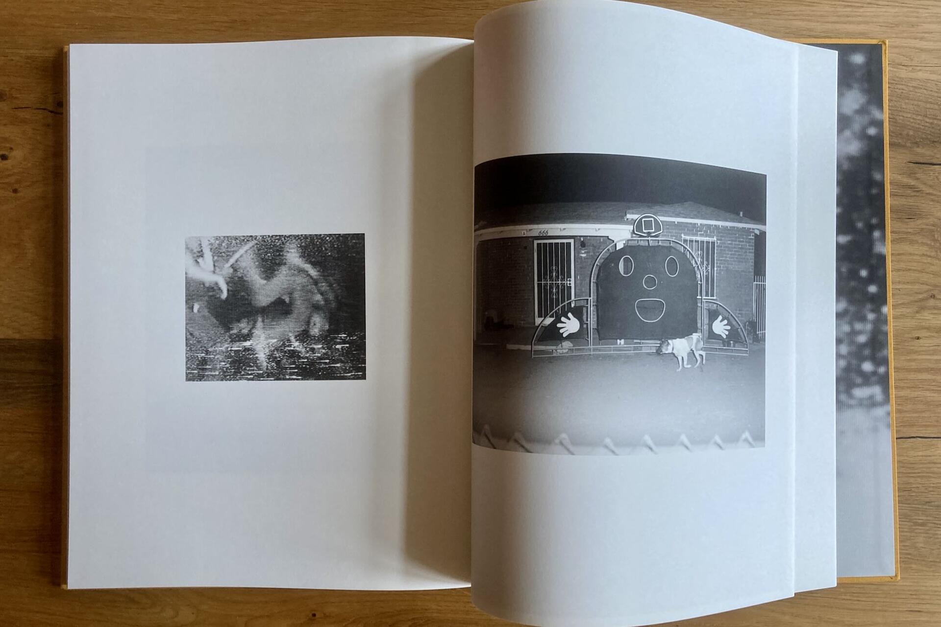 An open book with two black and white images: the left page shows a blurry animal by water, and the right page shows a cartoon face on a building with a dog standing in front. The book rests on a wooden surface.