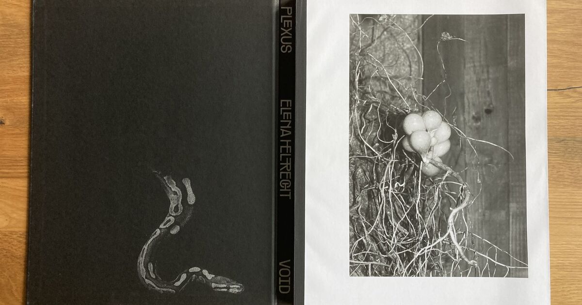 A book titled Plexus Void by Elena Helfrecht lies open on a wooden surface. The cover is black with a subtle abstract white design, while the open page shows a black-and-white photo of tangled roots and organic shapes.