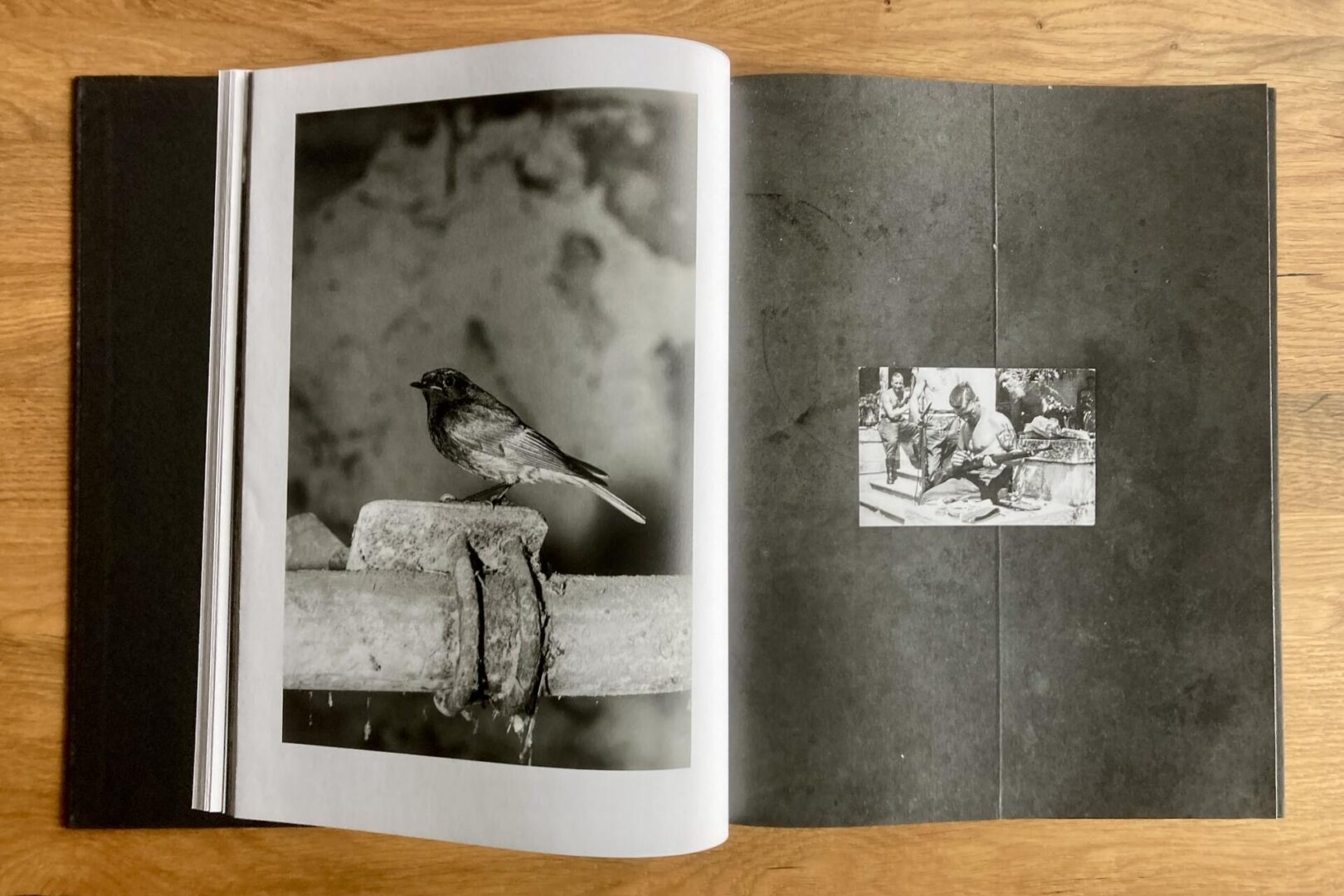 An open book lies on a wooden surface. The left page shows a black-and-white photo of a bird standing on a stone ledge, while the right page displays a small photo of people seated around a table against a dark background.