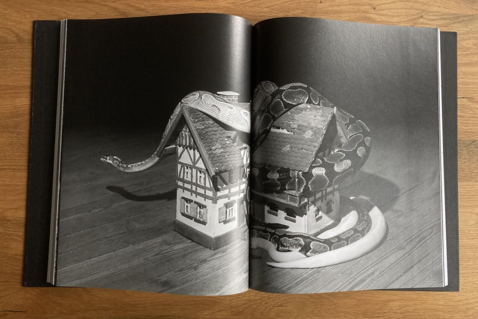 A black and white photo in an open book shows a snake coiled around two small model houses on a wooden surface.