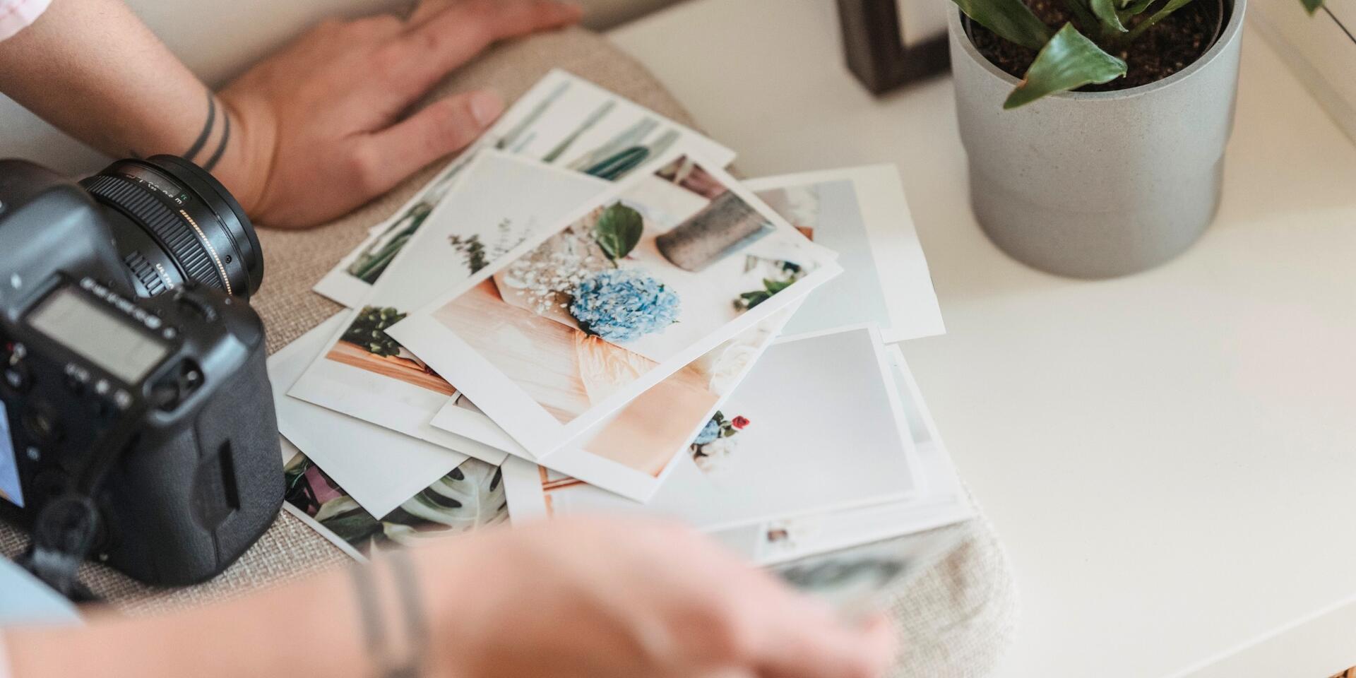 A person’s hands sort through a stack of printed photos on a light cushion next to a digital camera and a potted plant on a white surface.