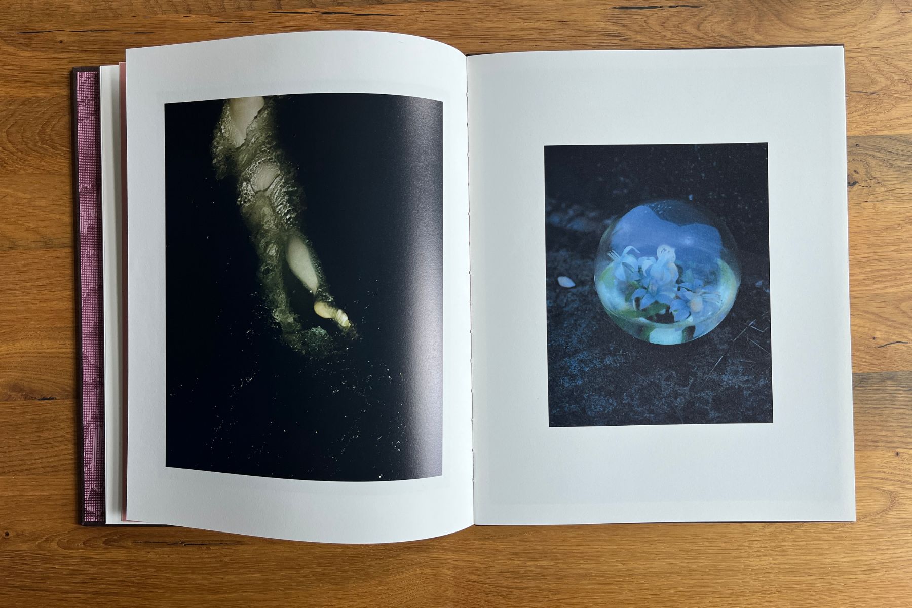 Open copy of Stray Sod by Maria Lax showing a dark image of water on the left and a blue-toned photograph of flowers in a glass orb on the right.