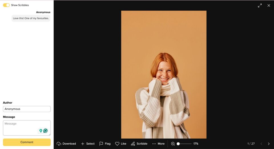 How to Manage a Large Client Photo Gallery