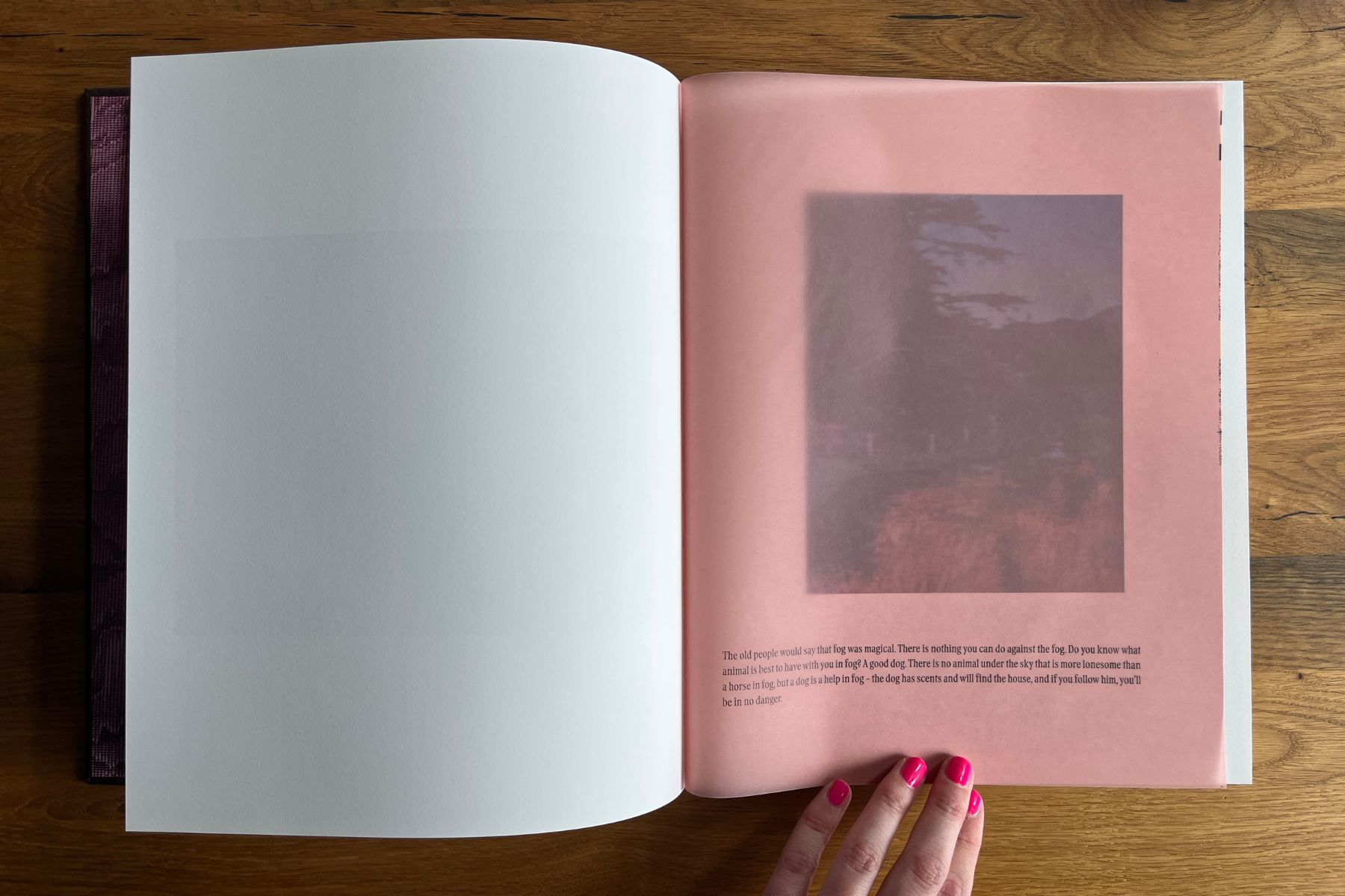 Open copy of Stray Sod by Maria Lax showing a translucent pink page with text and a muted landscape photograph underneath.