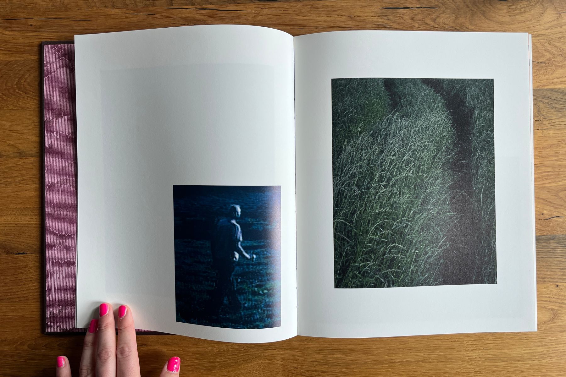 Open copy of Stray Sod by Maria Lax showing a blue-toned night photograph of a person on the left and a photograph of tall grass on the right.