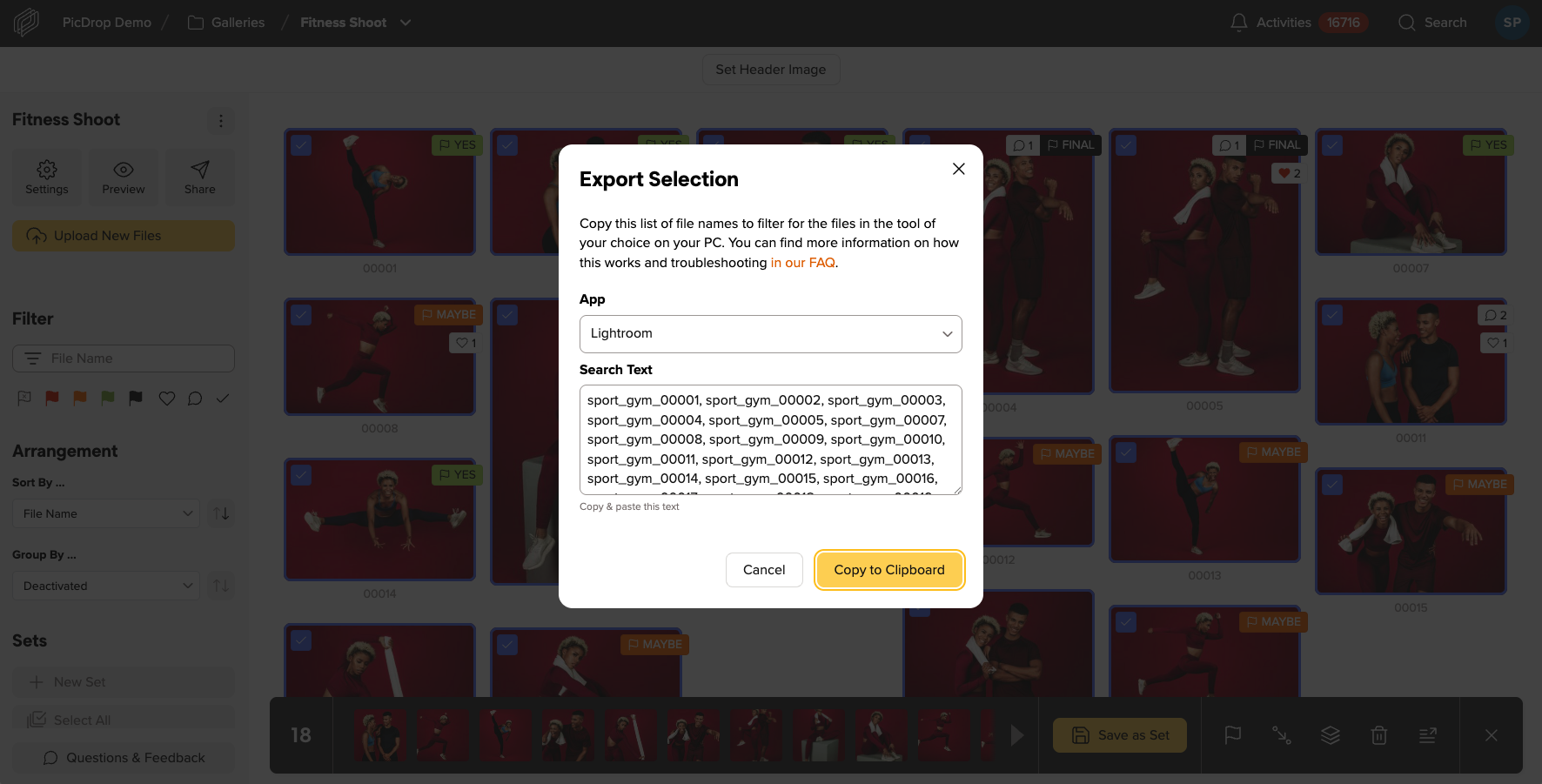 Screenshot of picdrop showing the export to Lightroom function