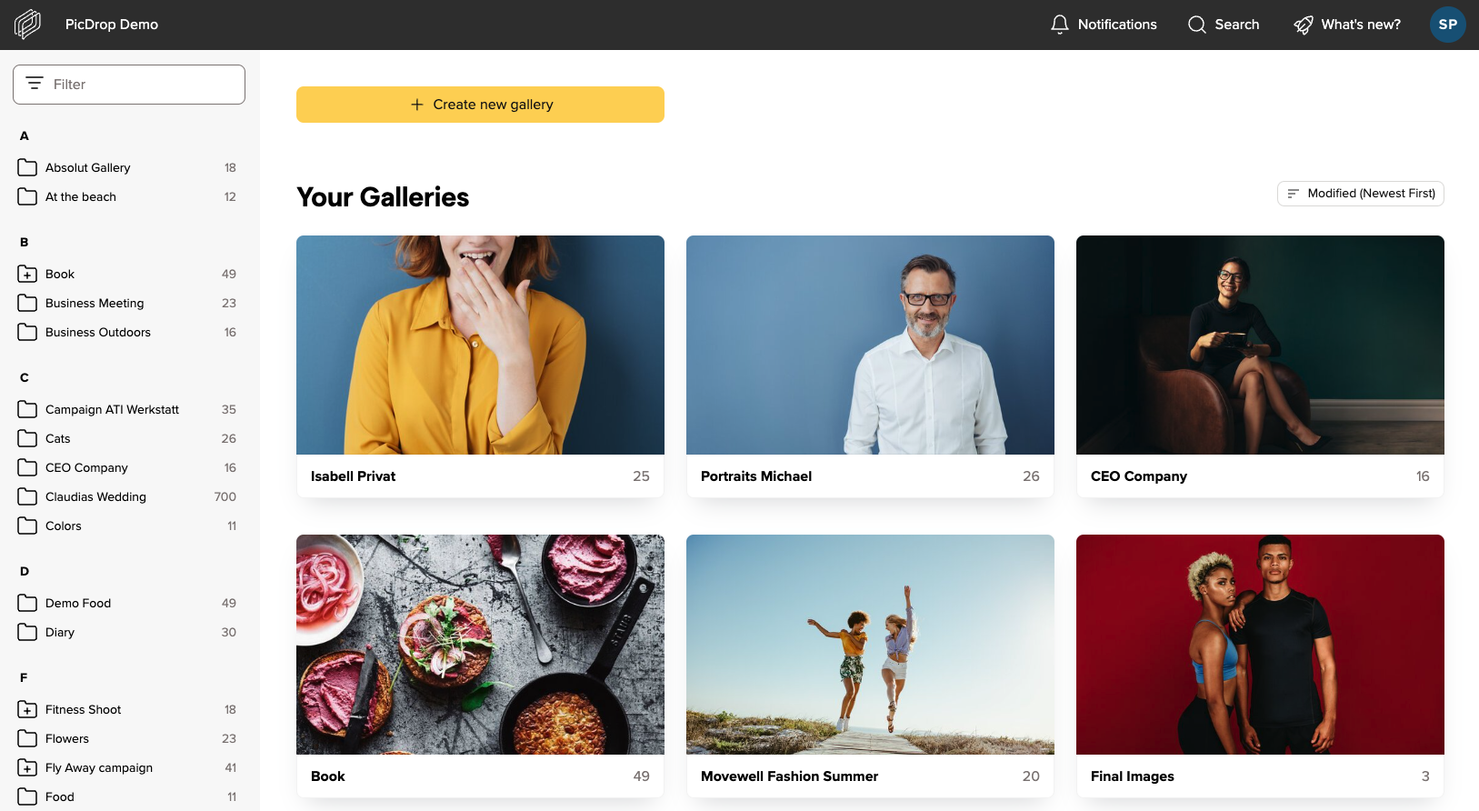 A web dashboard titled “Your Galleries” displays six image galleries, each with a preview photo and title, alongside a sidebar with filter categories on the left and navigation options at the top.