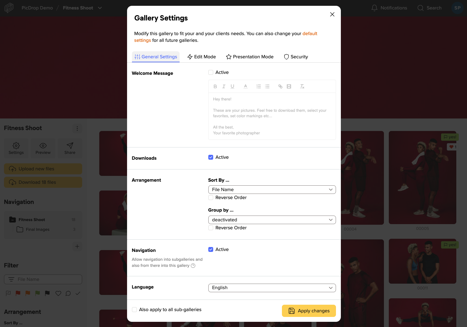 A Gallery Settings pop-up window is open on a photo gallery website. Various options are visible, including Welcome Message, Downloads, Arrangement, Navigation, Language selection, and an Apply changes button at the bottom.