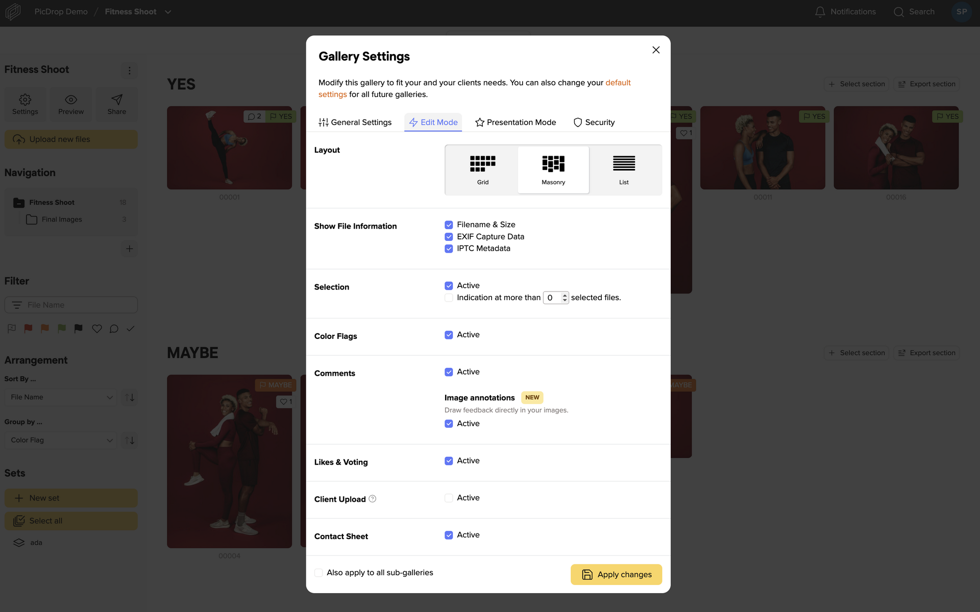 Online Photo Proofing Platform for Photographers - picdrop