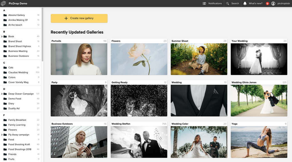 A photo gallery website dashboard shows a sidebar menu on the left and a grid of recently updated photo galleries with preview images, including weddings, portraits, flowers, business, parties, and outdoor shots.