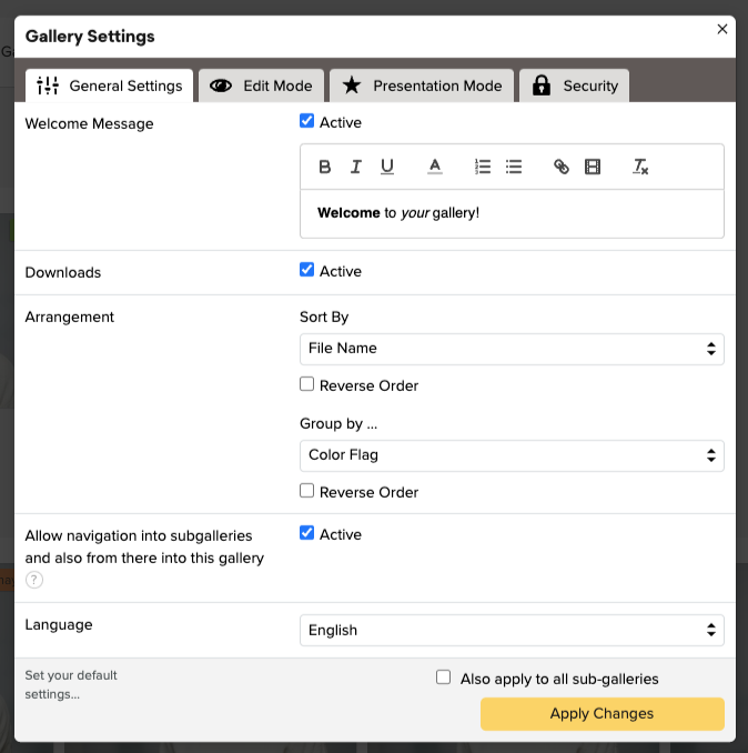 Screenshot of a “Gallery Settings” window showing options for welcome message, downloads, sorting, grouping, subgallery navigation, language selection, and buttons for Set your default settings and Apply Changes.