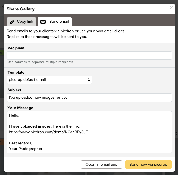 Screenshot of a Share Gallery window with fields for recipient, template, subject, and message. There are buttons to copy a link, send email, and send now via picdrop. A sample email with an image link is shown.
