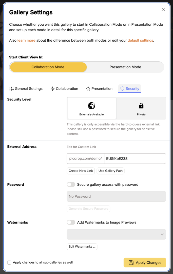 Gallery settings window with options for Collaboration Mode and Presentation Mode. Security level is set to Private, showing custom external address, password protection, and watermark settings, with “Apply Changes” buttons at the bottom.