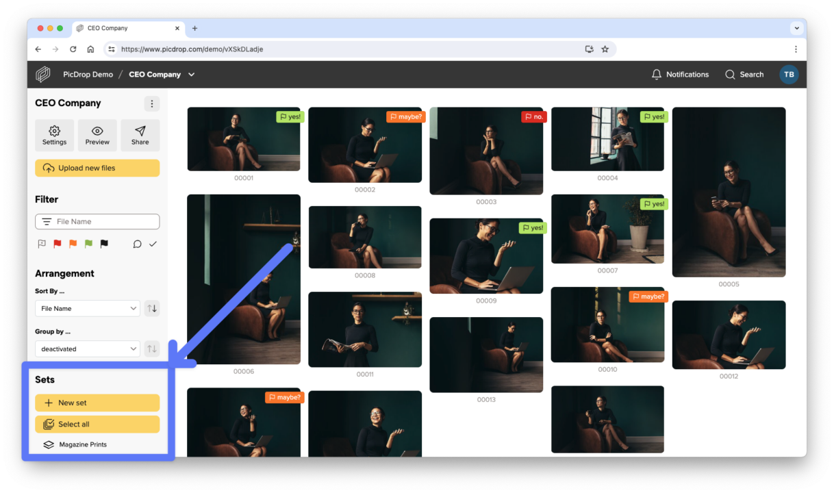 Picdrop How to Use the Set Tool in picdrop Galleries - FAQ