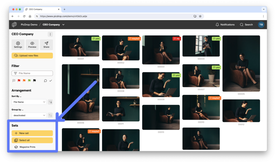 Picdrop How to Use the Set Tool in picdrop Galleries - FAQ