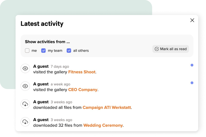 Ein Dashboard mit einer Liste der neuesten Aktivitäten, einschließlich der Gäste, die Galerien besuchen und Dateien herunterladen, mit Filtern für Aktivitäten von mir, meinem Team und allen anderen.