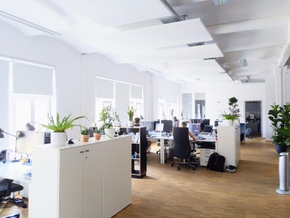 A bright, modern open-plan office with white desks, chairs, computers, and green potted plants. Large windows let in natural light, and the space features wooden floors and a clean, tidy atmosphere.