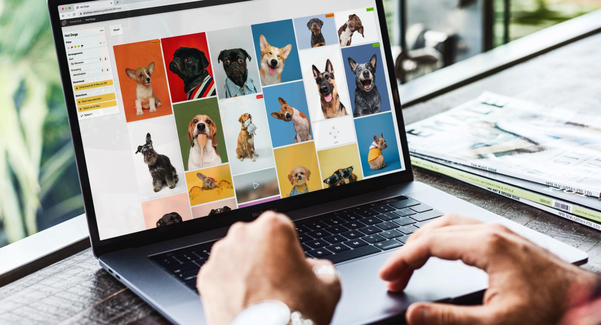 A person uses a laptop displaying a grid of colorful photos of various dog breeds. The workspace also has a stack of magazines nearby.